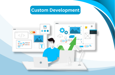 custom development (1)